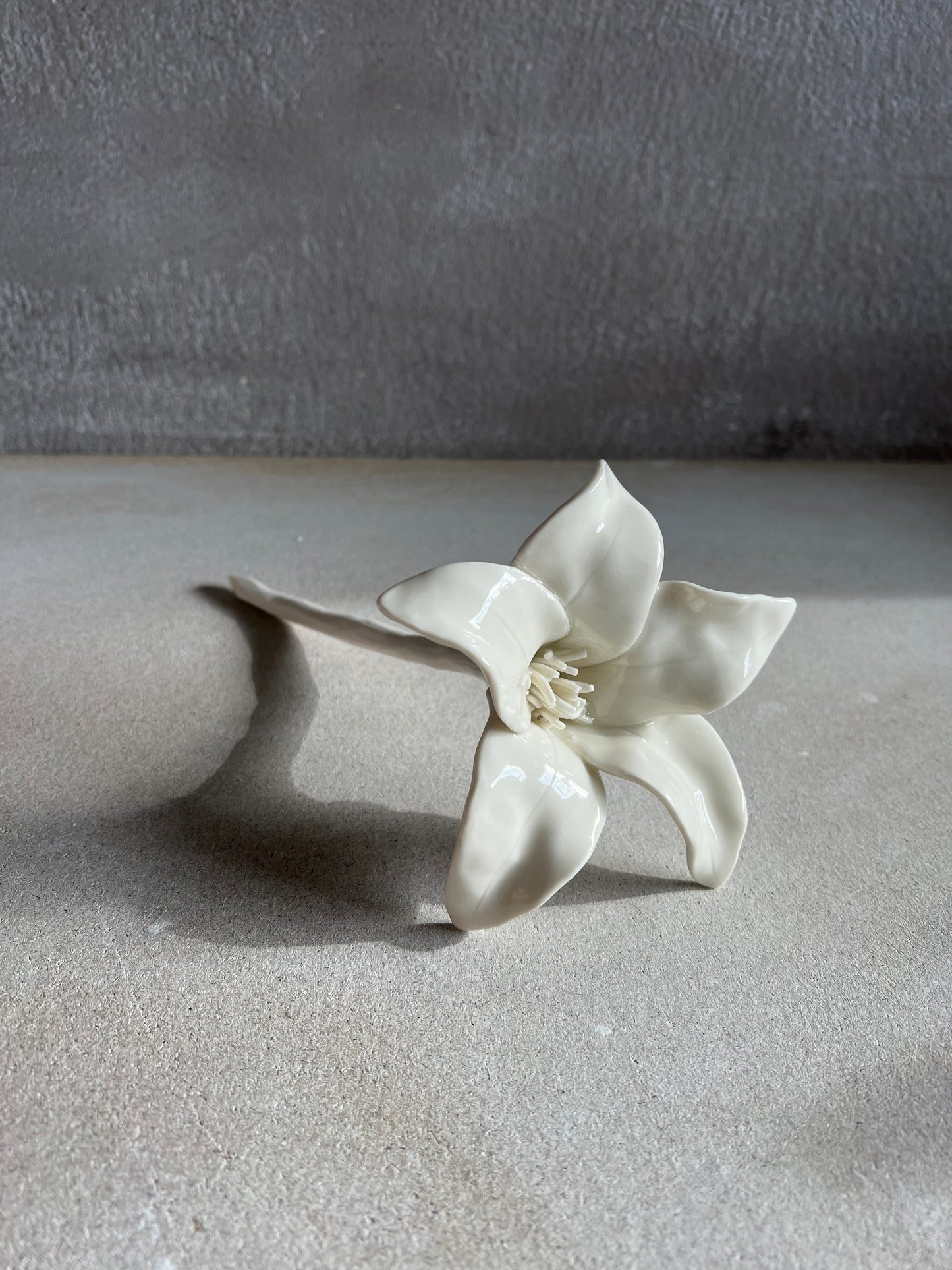 Lily Solitaire Blossom - groß
