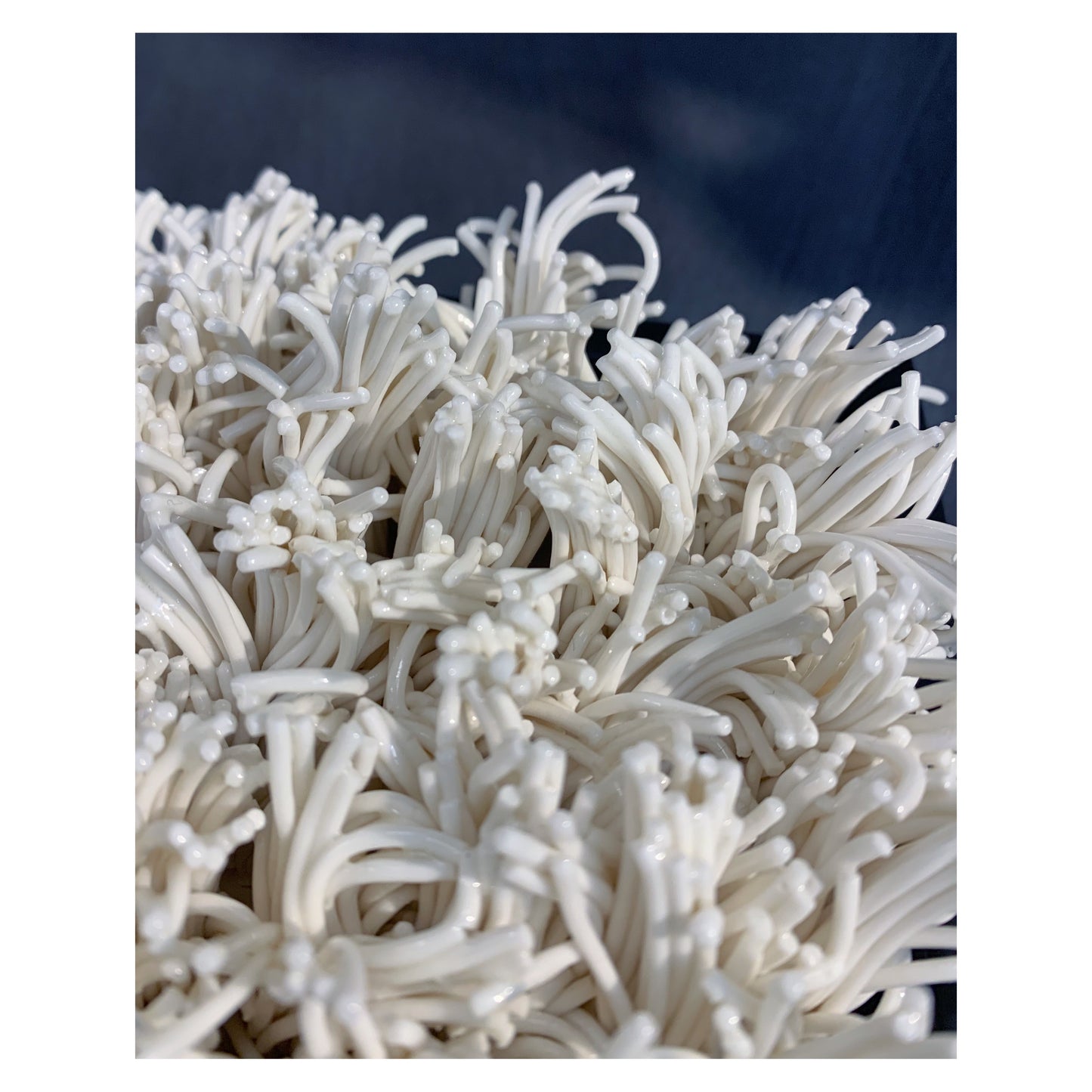 Seagrass - gerahmt