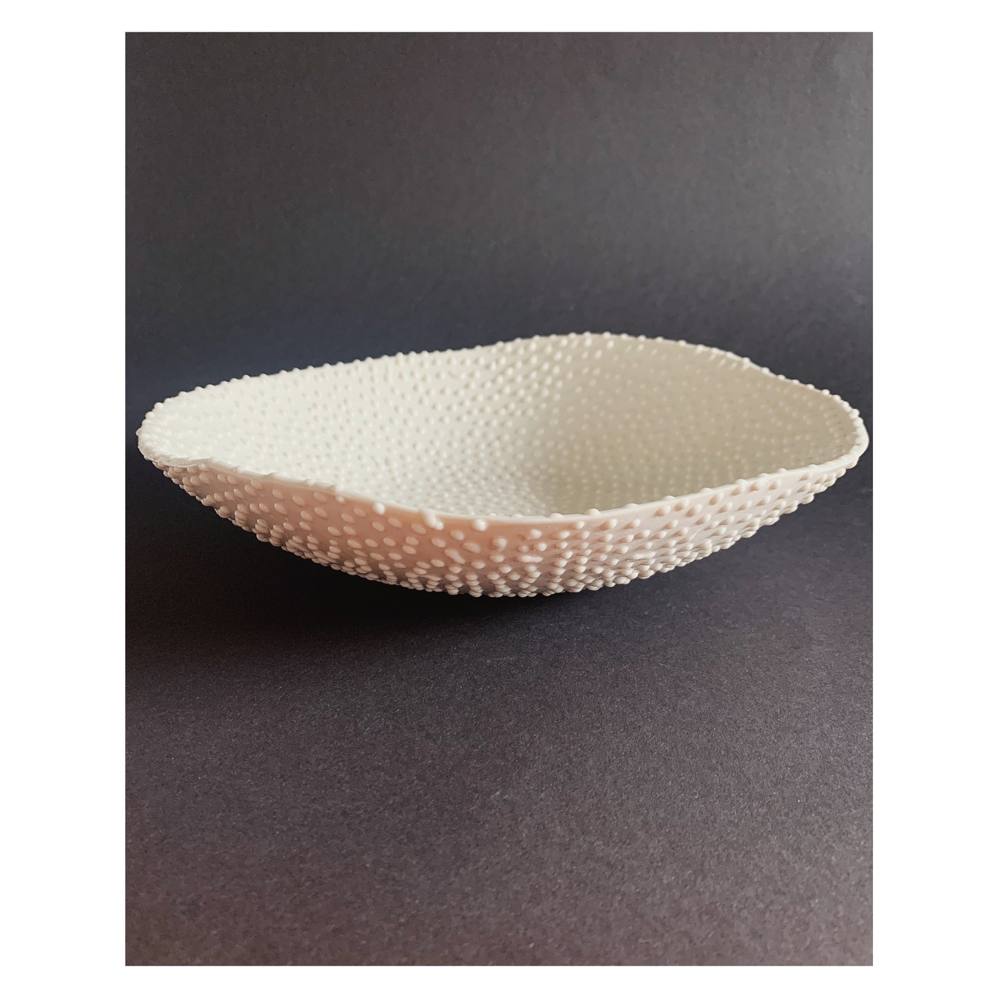 The Puffer - Bowl