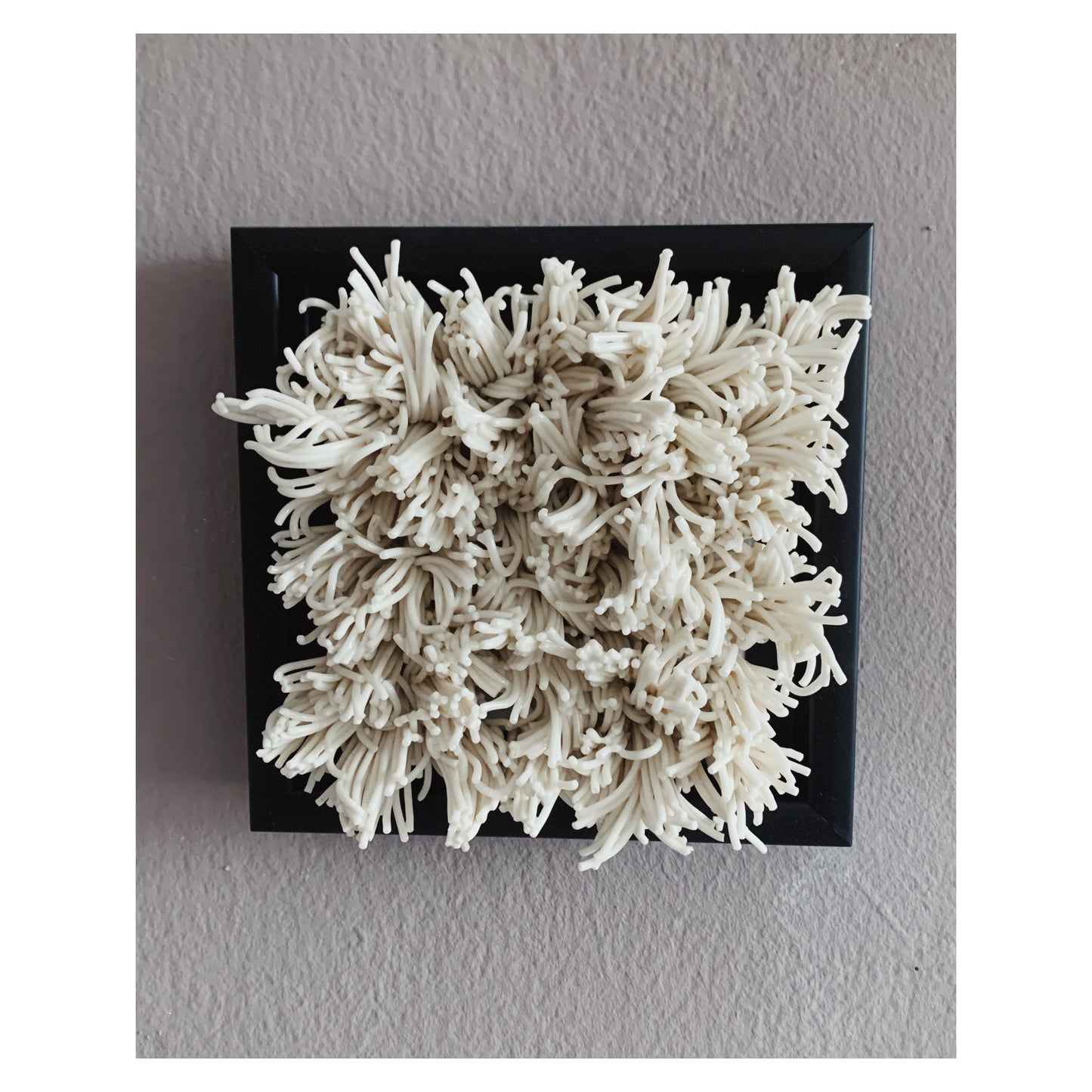 Seagrass - gerahmt