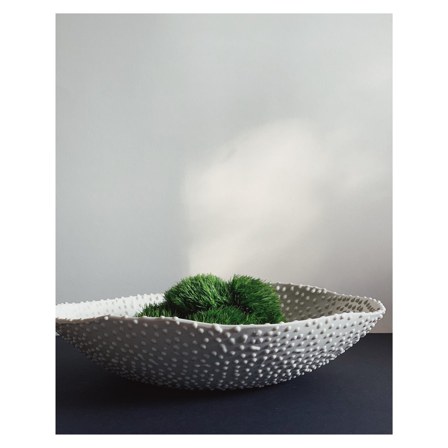 The Puffer - Bowl
