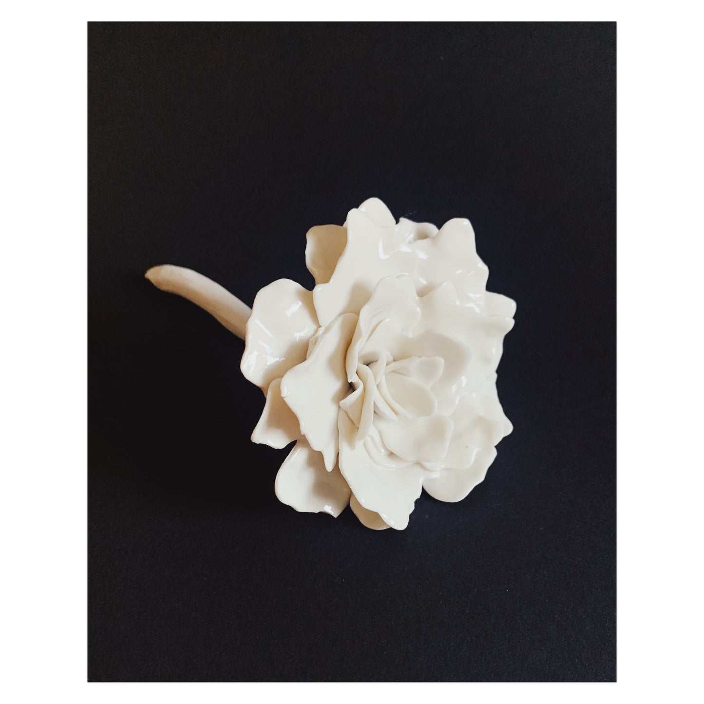 The Solitaire Blossom
