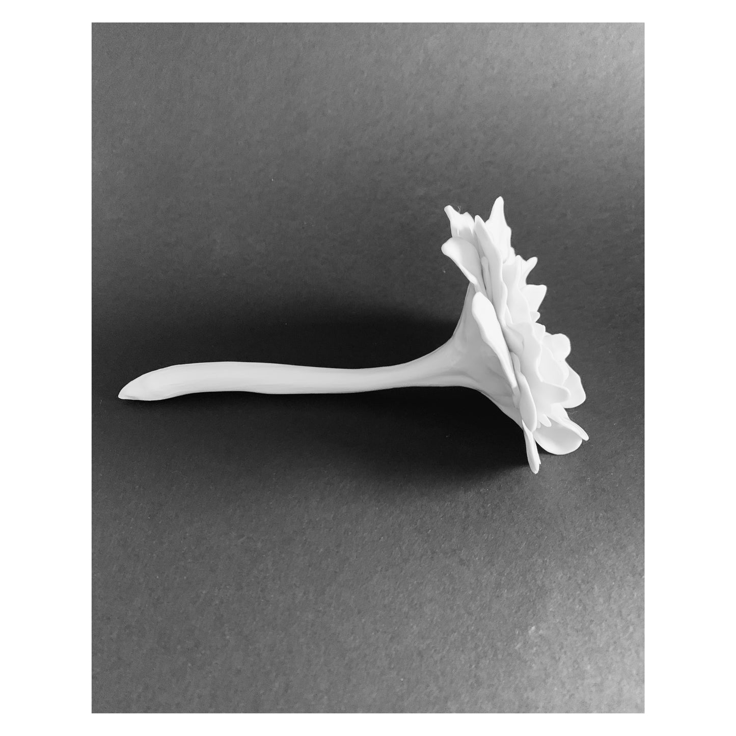 The Solitaire Blossom