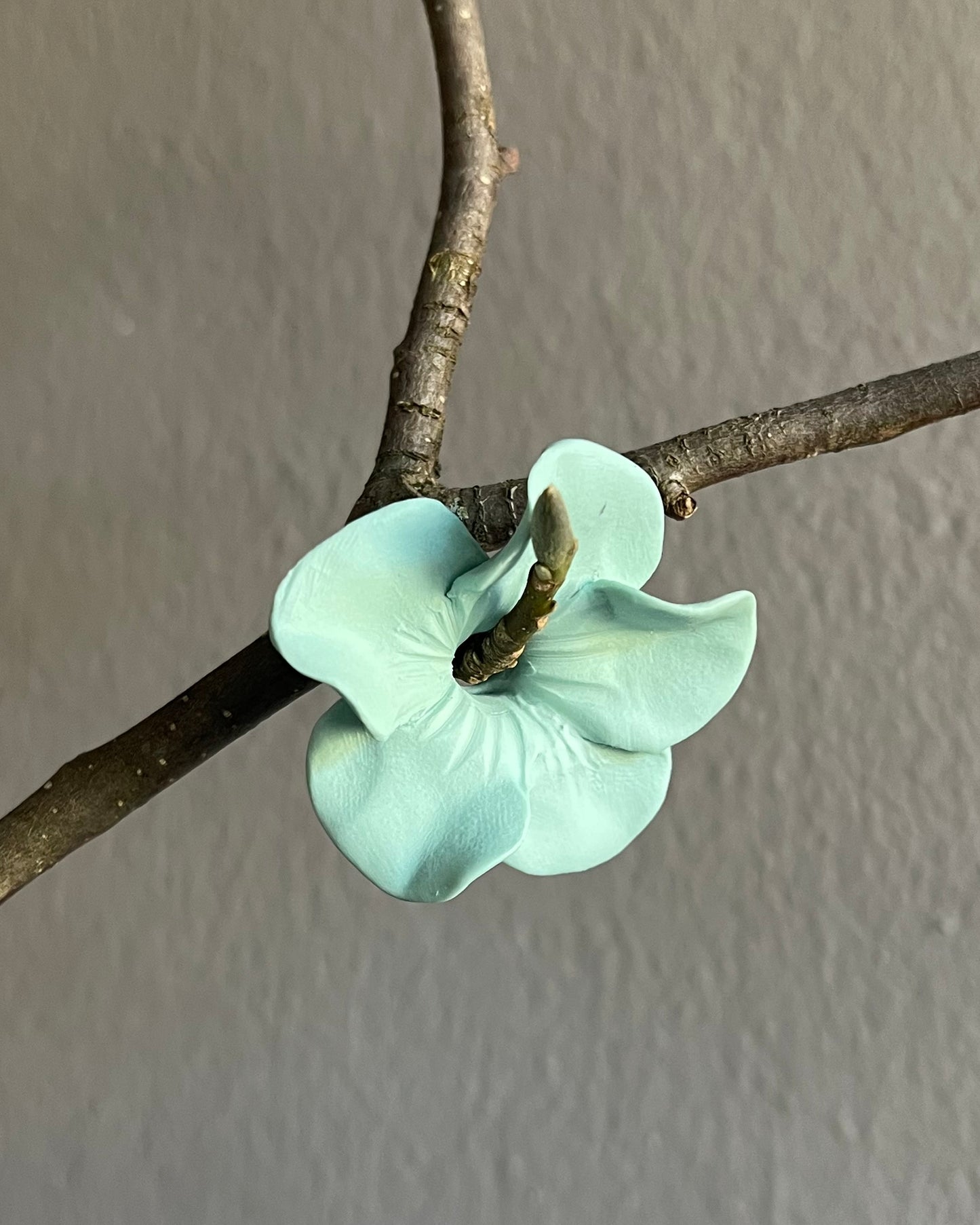 Laguna Blue Bisquit Blossom