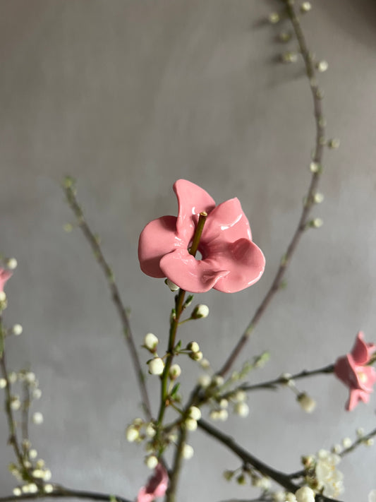 The Eternal Cherry Blossom - 5er Set