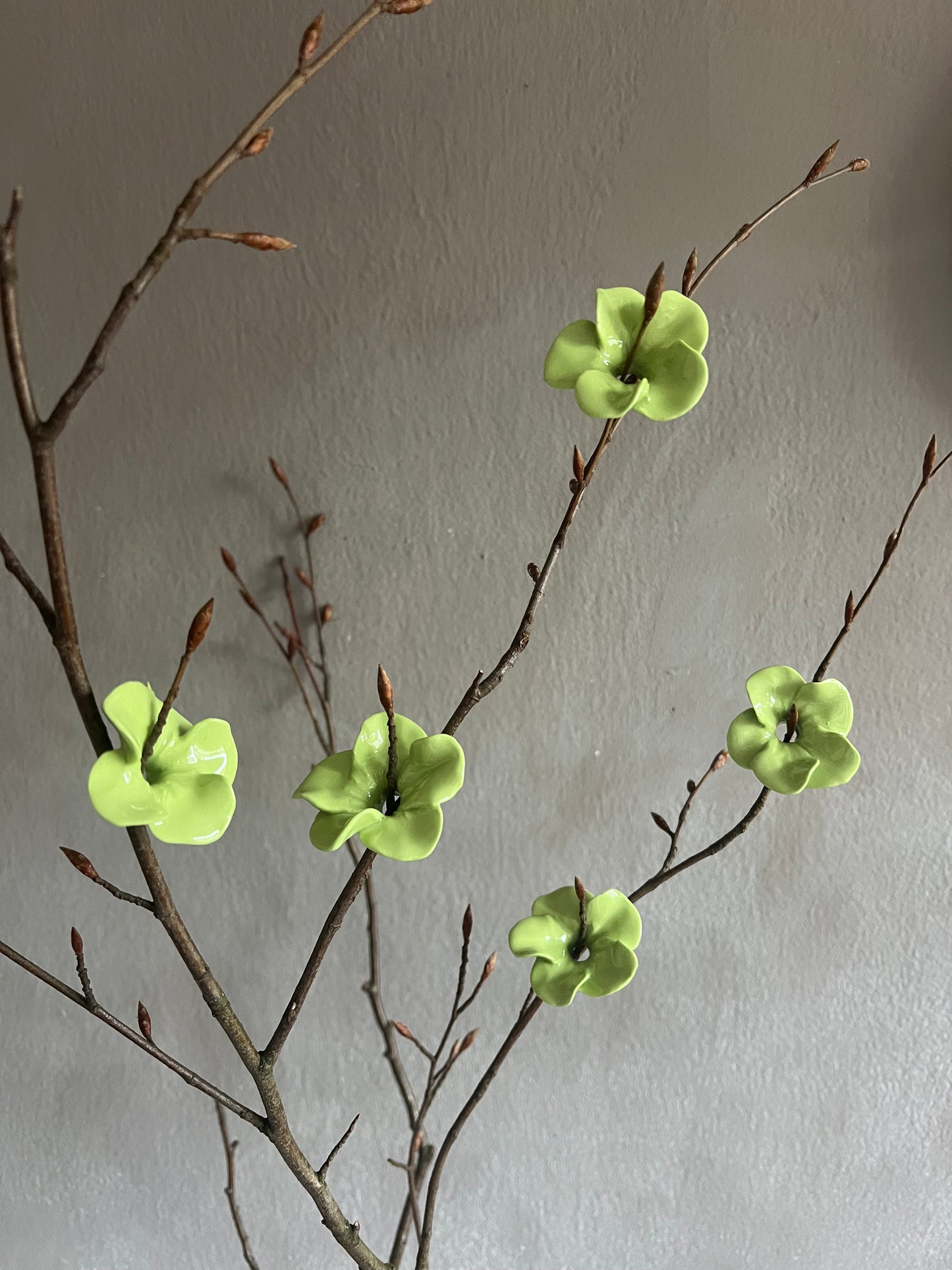 The Eternal Blossom - limette - 5er Set